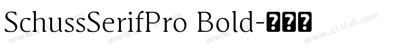 SchussSerifPro Bold字体转换